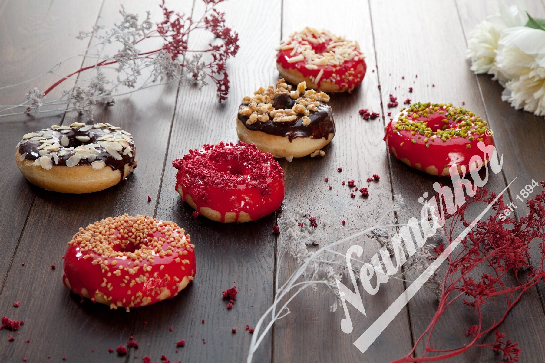 Placas Dony Donut para Baking System Neumarker